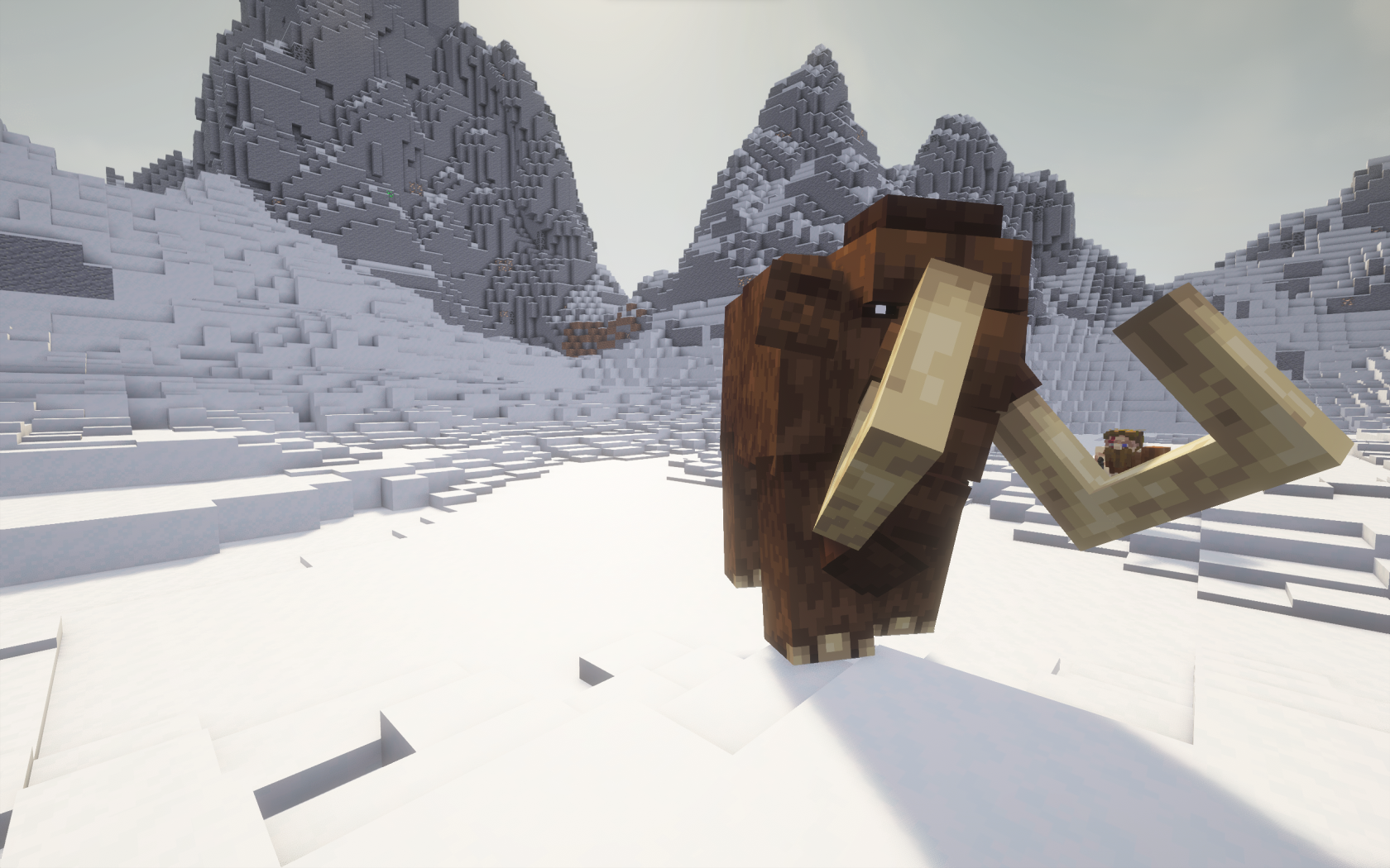 {8D6D5E39-2344-4C3F-B8E7-DF59364403E2}.png