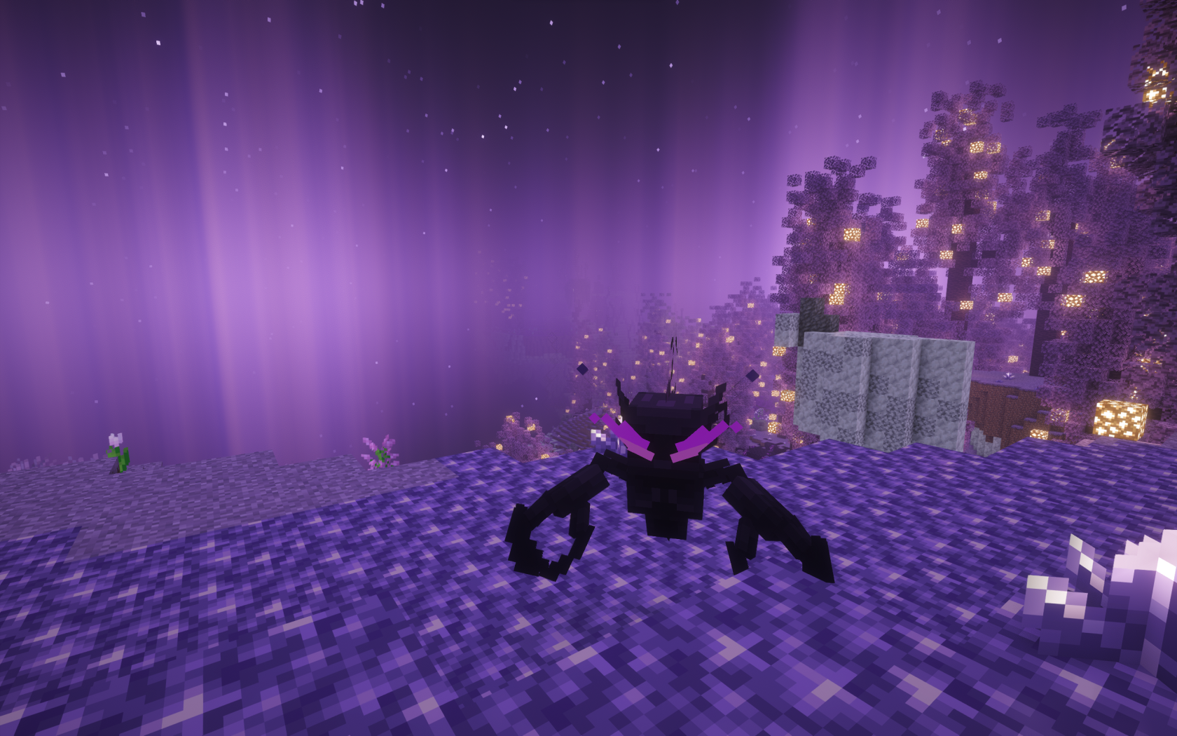 {62A7D76C-2568-49ED-8C89-76AADC0A3985}.png
